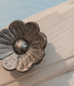 Camera Mirtillo Agriturismo Agrialpi Bricherasio