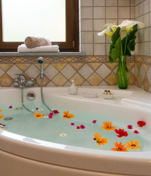 Camera Mirtillo Agriturismo Agrialpi Bricherasio