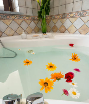 Camera Mirtillo Agriturismo Agrialpi Bricherasio